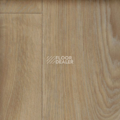 Линолеум IVC Greenline Burned Wood 531 фото 1 | FLOORDEALER